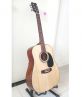 Acoustic guitar DD120