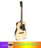 Acoustic Guitar DD200